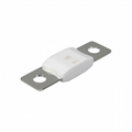 Victron MEGA-fuse 40A/80V